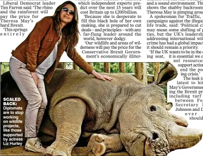  ?? ?? Diplomats are to stop working on wildlife projects, like those supported by actress Liz Hurley SCALED BACK: