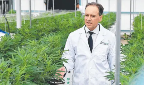  ??  ?? OPEN MARKET: Federal Health Minister Greg Hunt at Medifarm’s opening last month. Picture: PATRICK WOODS