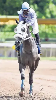  ?? GLADSTONE TAYLOR/PHOTOGRAPH­ER ?? Oneil Edwards aboard Dad’s Luck after winning at Caymanas Park recently.