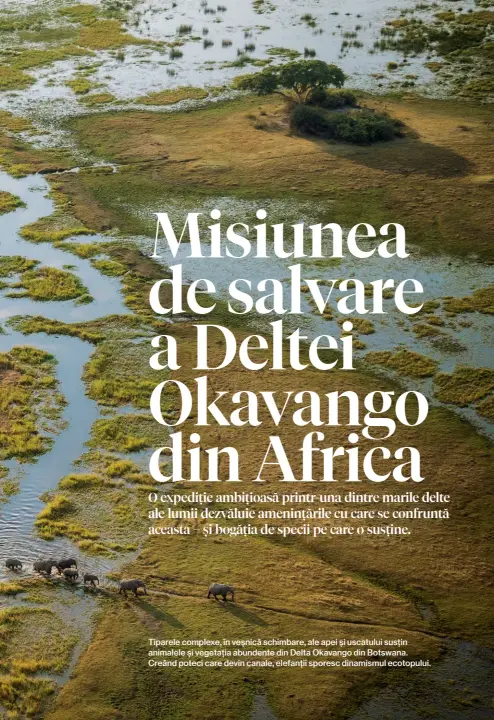  ??  ?? Tiparele complexe, în veșnică schimbare, ale apei și uscatului susțin animalele și vegetația abundente din Delta Okavango din Botswana. Creând poteci care devin canale, elefanții sporesc dinamismul ecotopului.