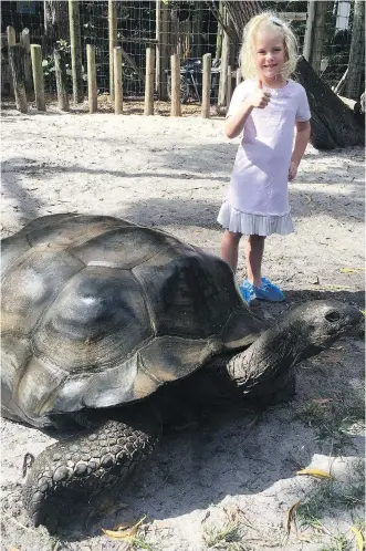  ?? MHAIRRI WOODHALL ?? Behind the scenes Aldabra tortoise encounter at the West Palm Beach Zoo.