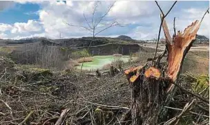  ?? Fotos: Mike Stebens ?? Oben auf der Schlackenh­alde von Ehleringen wurden Bäume und Hecken aus dem Weg geräumt.