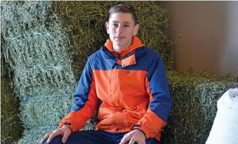  ??  ?? MAKING HAY: Toowoomba apprentice jockey Baylee Nothdurft at trainer’s Lindsay Hatch’s stables preparing for his return to race riding next weekend. PHOTO: GLEN MCCULLOUGH