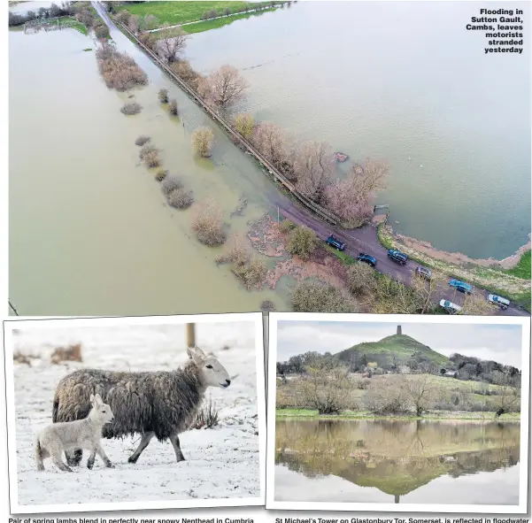  ?? Pictures: GEOFF ROBINSON ?? Pair of spring lambs blend in perfectly near snowy Nenthead in Cumbria Flooding in Sutton Gault, Cambs, leaves motorists stranded yesterday St Michael’s Tower on Glastonbur­y Tor, Somerset, is reflected in floodwater