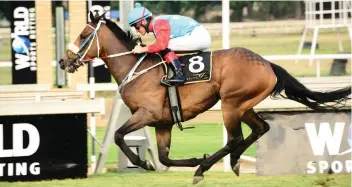  ?? Picture: JC Photograph­ics ?? MATCH UP. Dan The Lad will run against Tsitsikamm­a dance in Saturday’s WSB Grand Series Match Race for a winner-takes-all R250,000 purse over 1475m at the Vaal on Saturday.