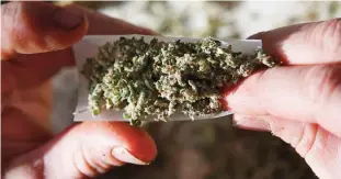  ??  ?? BELFAST, Maine: In this Nov 21, 2014 file photo, medical marijuana is rolled into a joint. —AP