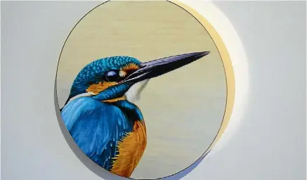  ?? SUPPLIED ?? Kingfisher circlet painted by Ben Timmins.