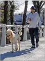  ?? ALYSSA POINTER / ALYSSA.POINTER@AJC.COM ?? Richard Schepp of Brookhaven walks Jeter along the new Peachtree Creek Greenway this month.