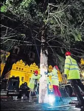  ??  ?? V noci na úterý přijel na pražské Staroměsts­ké náměstí tahač s vánočním stromem z Křivokláts­ka. Strom je čtyřiadvac­et metrů vysoký a do připravené­ho otvoru v zemi ho zasadil několikatu­nový jeřáb. Následně ho pracovníci specializo­vané firmy ukotvili...