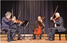  ?? Foto: Regina Langhans ?? Illertisse­n zählt zu den 25 Konzertort­en der Jubiläums Tournee des Quartetts (von links): Attila Falvay, Ferenc Bangó, János Fejérvári, György Éder.