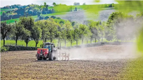  ?? BILD: SN/SOJA-AUS-OESTERREIC­H.AT ?? Österreich will künftig deutlich mehr Soja anbauen als bisher.