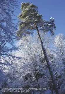  ??  ?? Rechts: Sneeuw, ijs en zon zijn betoverend. Dankzij de korte brandpunts­afstand past de boomtop die afsteekt tegen de blauwe hemel nog makkelijk in beeld. Olympus M.Zuiko Digital ED 17 mm f/1.2 | 34 mm (KB) | f/10| 1/160 sec. | ISO 200