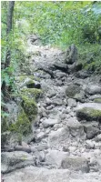  ??  ?? Es ist überall das gleiche Bild: Teilweise liegt ein Bachbett ganz trocken wie das des Scheibenba­ches in Scheidegg neben der Alpenstraß­e in Richtung Rohrach.