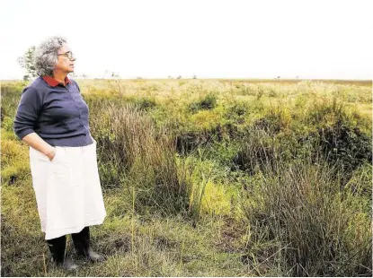  ?? Diana L. Porter / For the Chronicle ?? Katy Prairie Conservanc­y Executive Director Mary Anne Piacentini stands in front of a protected wetlands area that could be in danger due to plans to expand Texas 36 northward through the Katy Prairie.