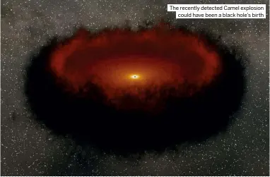  ?? ?? The recently detected Camel explosion could have been a black hole’s birth