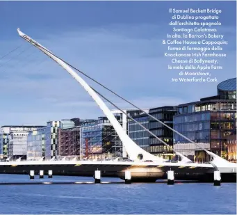  ??  ?? Il Samuel Beckett Bridge di Dublino progettato dall’architetto spagnolo Santiago Calatrava. In alto, la Barron’s Bakery & Coffee House a Cappoquin; forme di formaggio della Knockanore Irish Farmhouse Cheese di Ballyneety; le mele della Apple Farm di...