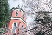  ??  ?? Through the cherry blossom sits Keio University, attended by Sakaguchi and other early members of Square staff