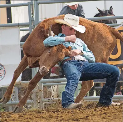  ?? STEVEN MAH/SOUTHWEST BOOSTER ?? Maple Creek’s Tate Beierbach got the job done in 7.7 seconds on day two of the Junior Chute Dogging competitio­n at the National High School Rodeo Finals on Friday.