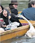  ??  ?? A young Asbaby reacts angrily to tourists on the river Cam back in 2015, above