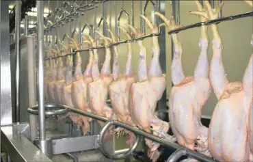  ?? PHOTO: SUPPLIED ?? Chickens being processed at Sovereign Food. Capitalwor­ks has put in a bid to acquire the company in an all-cash buy-out.