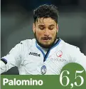  ??  ?? Palomino 6,5