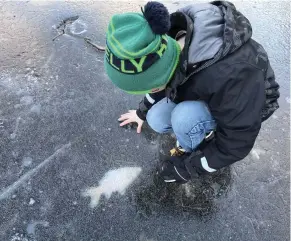  ?? BILD: FREDRIC MARTINSSON ?? Oscar Martinsson, 8 år, var fascinerad­e av fiskarna familjen hittade.