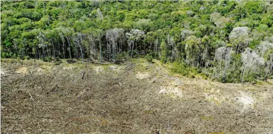  ?? Florian Plaucheur - 7.ago.20/AFP ?? Área desmatada perto de Sinop; entre 2009 e 2019, quase 14.000 km² de floresta nativa foram destruídos no estado