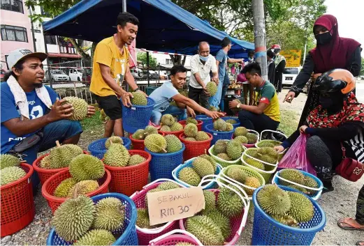  ??  ?? Much-loved fruit: Ridzuan (third from left) selling the kampung durians in Jalan Permatang Pauh near Bandar Perda in Bukit Mertajam. — MUSTAFA AHMAD/The Star