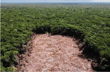  ?? Photos by Eduardo Verdugo / Associated Press ?? A swath of forest is cleared for the constructi­on of the Maya Train project near the community of Vida y Esperanza, in Quintana Roo state, Mexico.