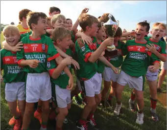  ??  ?? Glen Emmets celebrate after winning the U12 Division 1B title.