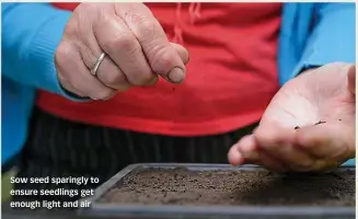  ??  ?? Sow seed sparingly to ensure seedlings get enough light and air