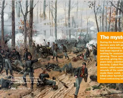  ??  ?? A painting of the US Civil War showing Union and Confederat­e troops at the Battle of Shiloh