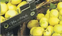  ??  ?? Les citrons doivent passer par la station de conditionn­ement pour être labellisés. (Photo archives NM)