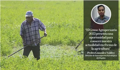  ?? ROBERTO AMAYA ?? El pasado 21 de noviembre de 2023 se publicaron las cifras definitiva­s del Censo Agropecuar­io 2022 por parte del INEGI, que permite analizar a detalle el estado del sector.