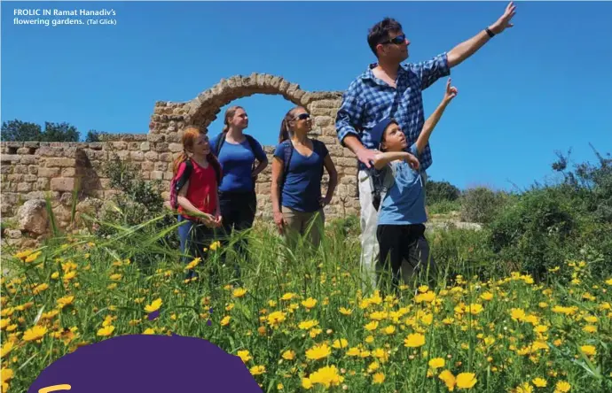  ?? (Tal Glick) ?? FROLIC IN Ramat Hanadiv’s flowering gardens.