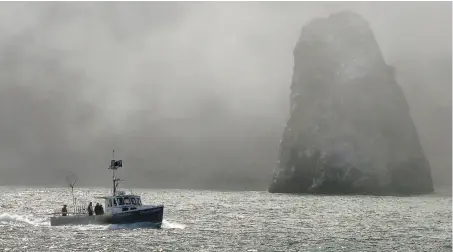  ?? Liz Hafalia / The Chronicle 2016 ?? Chasin’ Crustacian returns to Sausalito from a salmon trip in 2016, when 92,000 salmon were caught in area ocean waters.