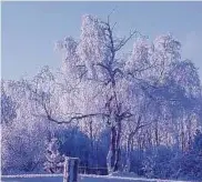  ??  ?? Nochmal eine traumhafte Winterland­schaft konnte Carmen Wachsmuth aus Oberhain fotografie­ren. Liebe Leserinnen und Leser, vielen Dank für die zahlreiche­n Fotoideen. Gelingt auch Ihnen ein schönes, originelle­s oder witziges Foto zu Hause, im Garten oder...