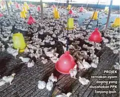  ??  ?? PROJEK ternakan ayam
daging yang diusahakan PPK
Tanjong Ipoh.