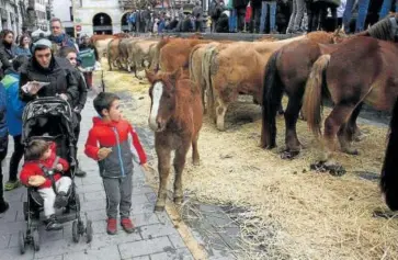  ?? ?? Las piezas de caballar reunieron 109 animales y llamaron la atención de los txikis.