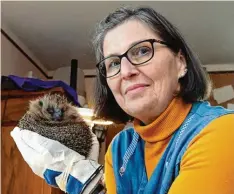  ?? Foto: Marcus Merk ?? Ingrid Pfänder hat ein Herz für Tiere in Not und investiert viel Zeit und Geld in die Pflege der Igel.