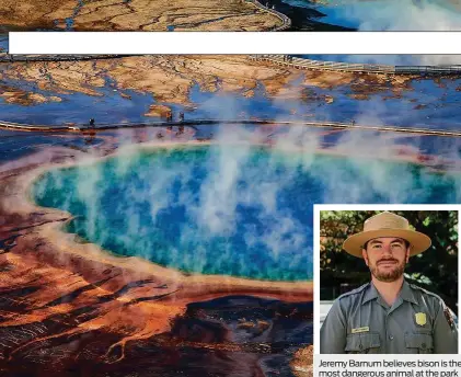  ??  ?? Jeremy Barnum believes bison is the most dangerous animal at the park