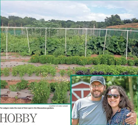  ?? COURTESY OF CARLY LEDGER GARY PORTER / FOR THE MILWAUKEE JOURNAL SENTINEL ?? The Ledgers make the most of their spot in the Wauwatosa gardens. Carly and Joseph Ledger raise vegetables, herbs and flowers that they sell at the Tosa Farmers Market.