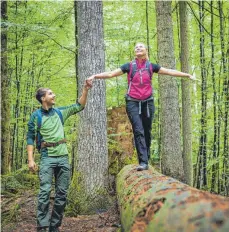  ?? FOTO: DPA ?? Den Wald sehen viele zunehmend als Wellnesste­mpel.