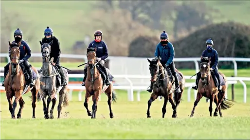  ??  ?? Setting the Festival scene (clockwise from left): Trainer Denise Foster’s string at work at Cheltenham yesterday; Appreciate It, favourite for tomorrow’s opening race, the Supreme Novices ’ Hurdle, enjoys a roll on the turf; horses leave the gallops after exercising; and trainer Willie Mullins looks on