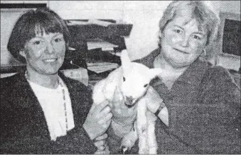  ?? ?? In 1997: A Kintyre woman has taken the ‘take your dog to work’ theme a step further. Kathy Ramsden of Culfuar Farm, Tayinloan, has been taking a lamb to work with her for the last couple of weeks. The lamb, which was a twin, needs feeding every three to four hours and the only hope it has of surviving is for Kathy to nurture it to health. Back on the farm, everyone is too busy to feed the lamb so frequently so Kathy became its surrogate mum. Knuckles, as Cathy has named the lamb because of its knuckle-looking feet, has been doing well and he’s gaining strength by the day. And where better for Kathy to work, but the Campbeltow­n office of the National Farmers’ Union. Kathy, right, works at the NFU office as assistant to Morna Paterson, left, who just loves the office’s newest employee.