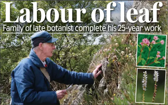  ??  ?? Dedication: Peter Macpherson spent his retirement discoverin­g plants, including Persicaria runcinata, inset top, and alpine bistort, below