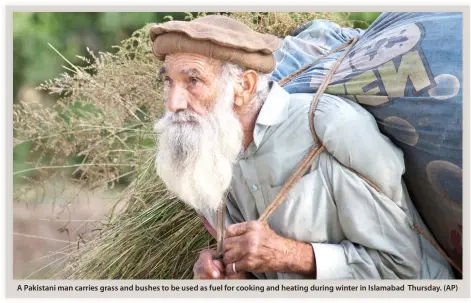  ??  ?? A Pakistani man carries grass and bushes to be used as fuel for cooking and heating during winter in Islamabad Thursday. (AP)