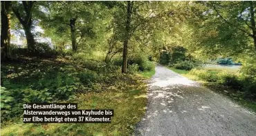  ??  ?? Die Gesamtläng­e des Alsterwand­erwegs von Kayhude bis zur Elbe beträgt etwa 37 Kilometer.