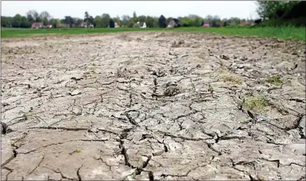  ??  ?? La sécheresse a sévi deux années de suite dans la région. Un phénomène inhabituel.