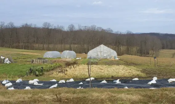  ??  ?? Silage tarps are used at Bigfoot Farm to bring new areas into vegetable production without tillage.